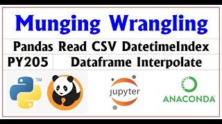 PY205 | Python Pandas Munging Wrangling | Camel Academy