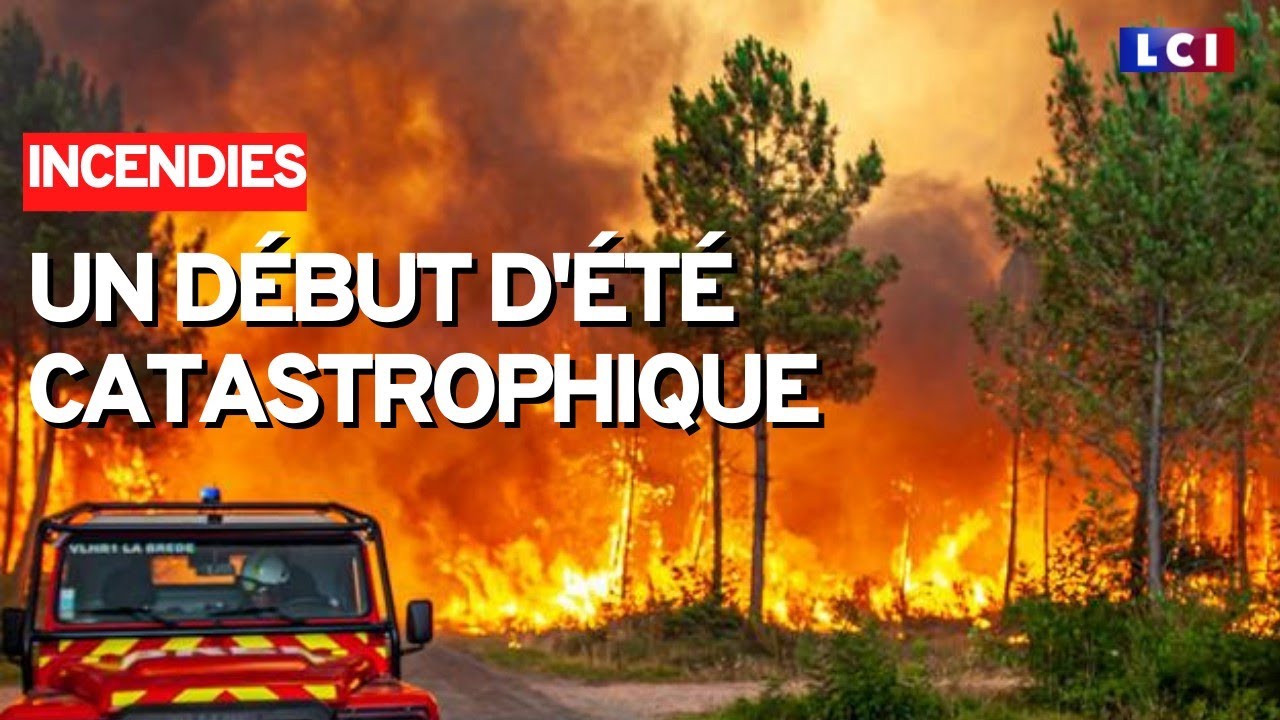 Incendies : déjà plus de 15.000 hectares calcinés