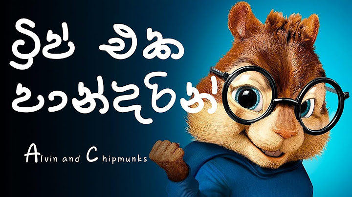 Trip Eka Pandarin Lyrics Video (ට්‍රිප් එක පාන්දරින්)  | Alvin and Chipmunks | Dinuli Damsandi