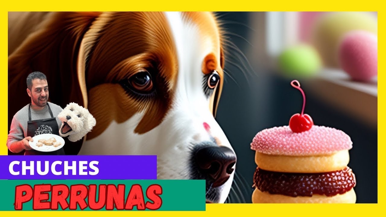 COMO HACER CHUCHES (GOMITAS) PARA PERROS 2023.