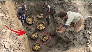 oak treasure island oak island treasure found 2024