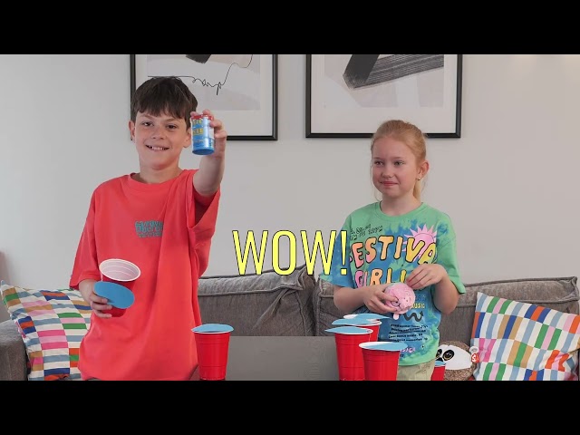 Bouncer roll and reveal challenge! #ty #beaniebouncers