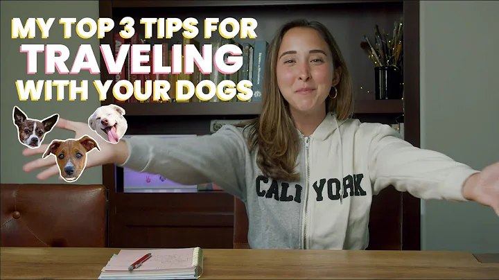 My Top 3 Tips for Traveling with Your Dogs