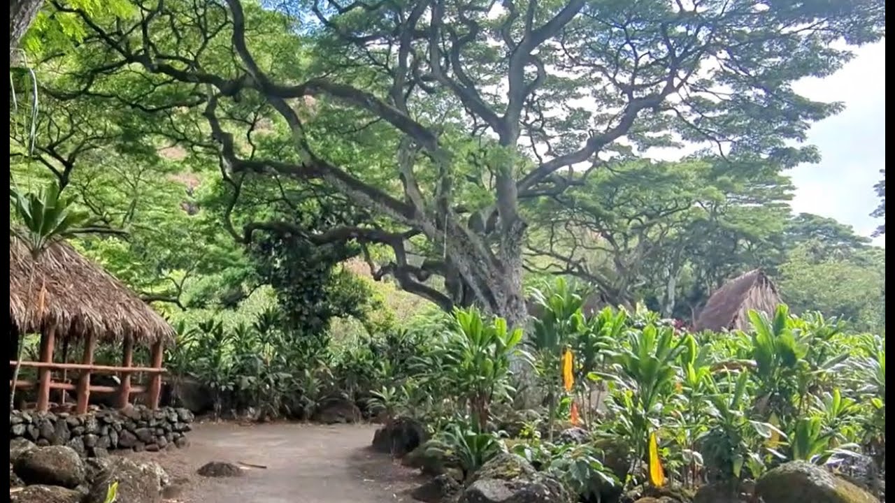 Disney's Aulani Resort Day 4 - North Shore, Waimea Falls, Food Trucks & Dole Plantation