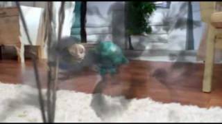 Nippon Blobby - Aircare