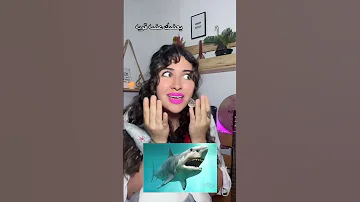 مرة في حينا زارنا قرش مخيف 