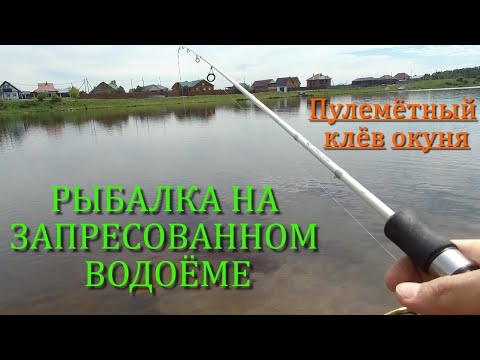 РЫБАЛКА НА ЗАПРЕСОВАННОМ ВОДОЁМЕ. Пулемётный клёв окуня