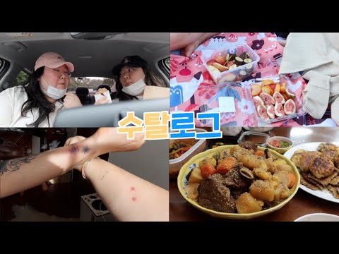 , 파주 <strong>미메시스</strong> <strong>뮤지엄</strong> 사진찍고 피크닉🥂,동그랑땡과 갈비찜 해먹기😋, 맥도날드 드라이브스루에서 타로파이 사먹기 , 나의 2번째 타투! , 성북동 누룽지백숙🍗