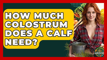 How Much Colostrum Does A Calf Need? - The World of Agriculture