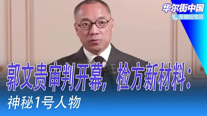 郭文贵审判开幕，检方新材料：神秘1号人物；沈栋回忆郭文贵：圈内人竟这么看他；傅才德：一旦定罪临数十年牢狱之灾｜#华尔街中国 - 天天要闻