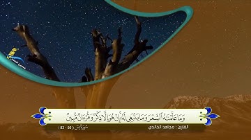 ماتيسر من سورة يس - مجاهد الخالدي