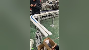 Flexible chain conveyor