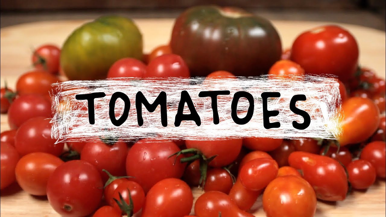 Tomatoes Superfoods, Episode 4 YouTube