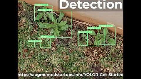 Weeds Detection using YOLOR, OpenCV Python