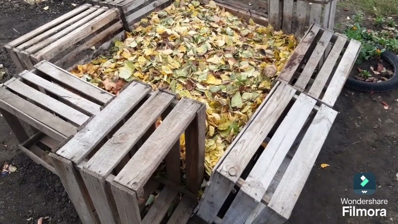 Як Я Зачеренкував 49 Троянд За Один День - Майстер-Клас!