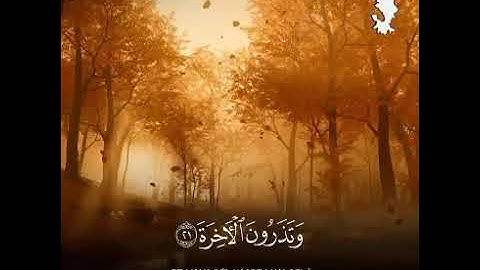 (سورة القيامة) لَا أُقْسِمُ بِيَوْمِ الْقِيَامَة  تلاوة خاشعة 
