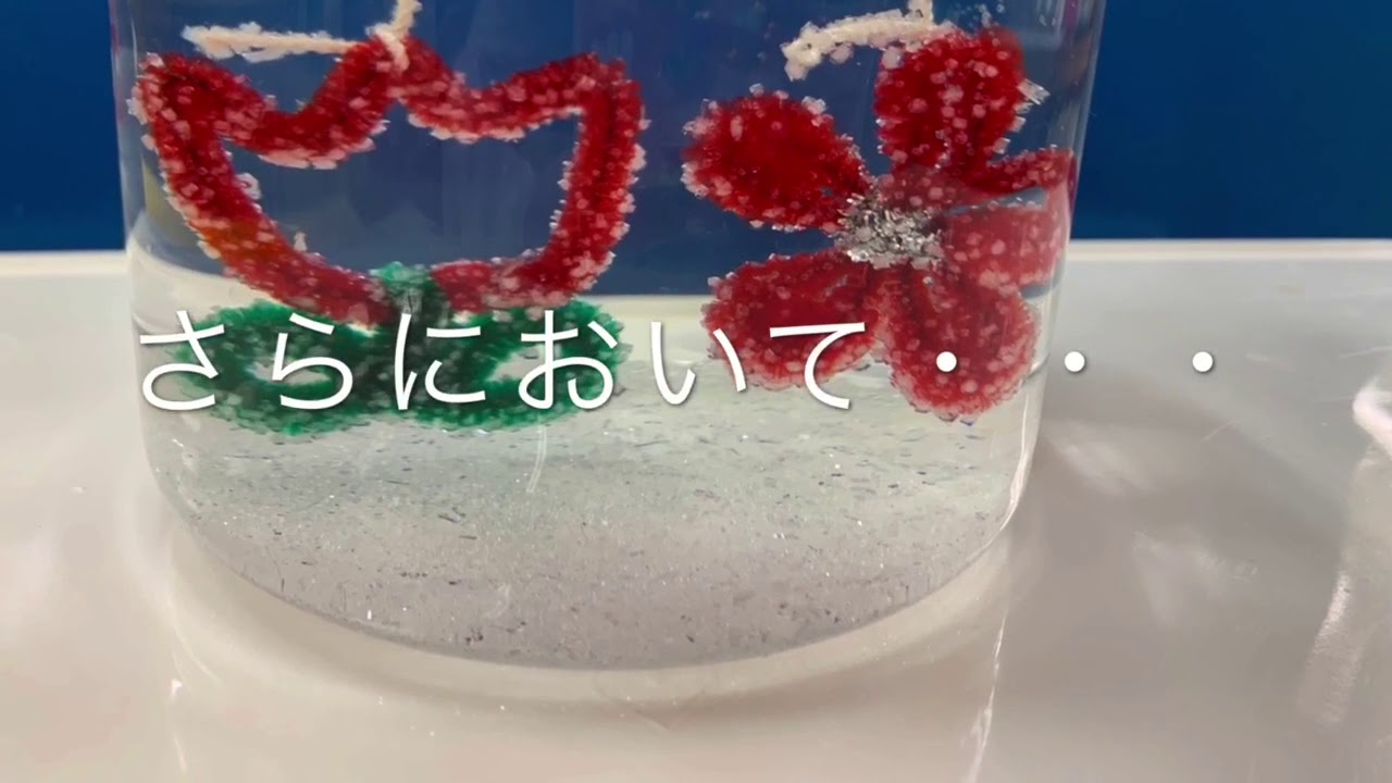塩 の 結晶 の 作り方 モール