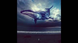 народная песня новозеландских китобоев, также известная как Wellerman
