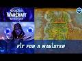 Fit for a Magister Quest | Saltheril's Soiree Faction: Magisters | Bolt of Mana Silk Cloth