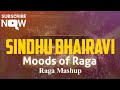 Moods of raga  raga sindhu bhairavi  krithi taanam 