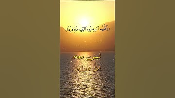 وكلهم ءاتيه يوم القيامة فردا 🥺❤|حالات واتس اب قرآن|حالات واتس عن التوكل| سورة مريم |Quran status