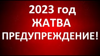 2023 г. МАГИЯ ЭЛИТ. ВОЛНА ШАМАНА. ЖАТВА ДЕМОНА.