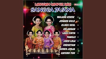 Kelinci Ucul