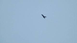 Tornado,s portrush 4/9/11