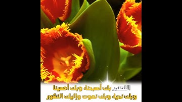 من أذكار الصباح ☀️ اللهم بك أصبحنا، وبك أمسينا، وبك نحيا، وبك نموت وإليك النشور بصوت 🎧 إدريس أبكر