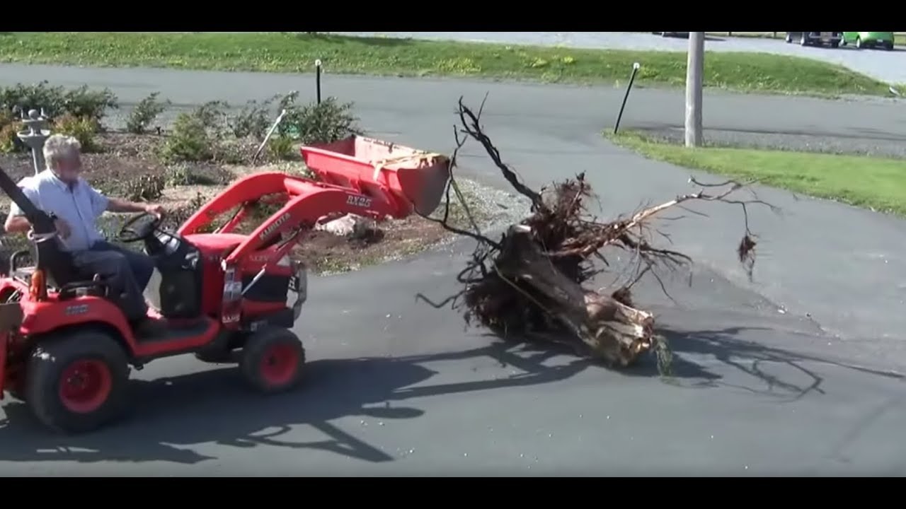 Kubota BX road building in boggy area, digging stumps, pulling down trees