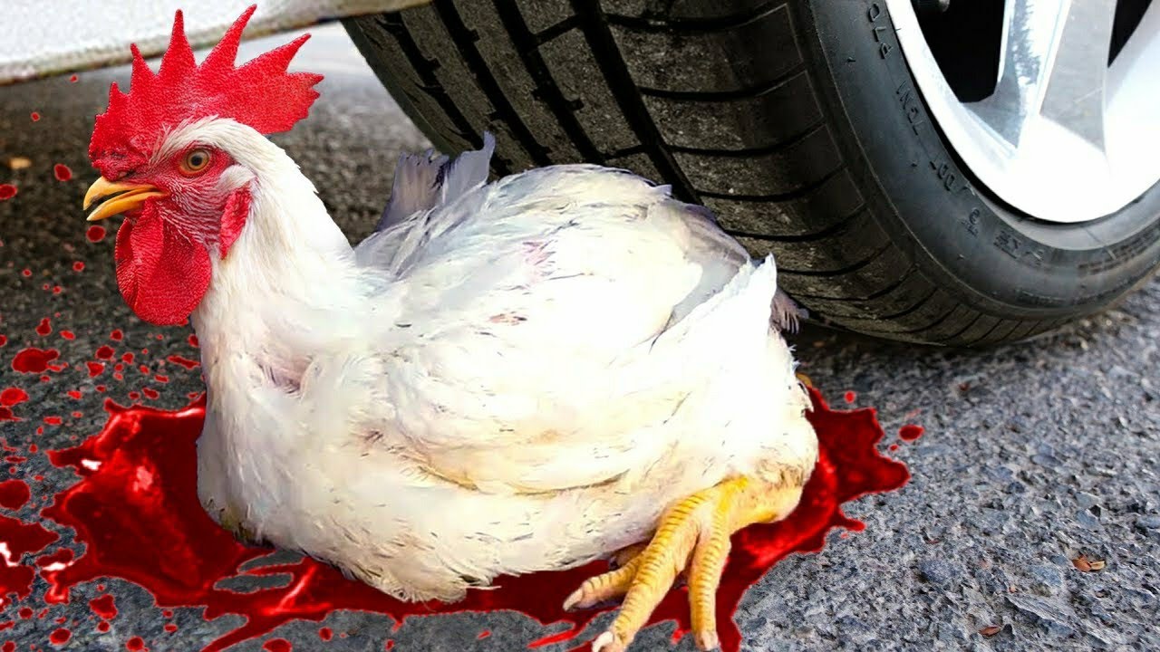 Experiment Car Vs Motu Patlu Hen Chicken  Crushing Crunchy  Soft Things By Car