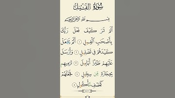 سوره الفيل#القرآن_الكريم #اكسبلور #قرآن_كريم