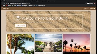 My CS50x Final Project - BeachBum