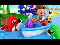 Colors for Children to Learning with Baby Fun Play with Color Balls Dolphin Slider Toy Set Kids Edu