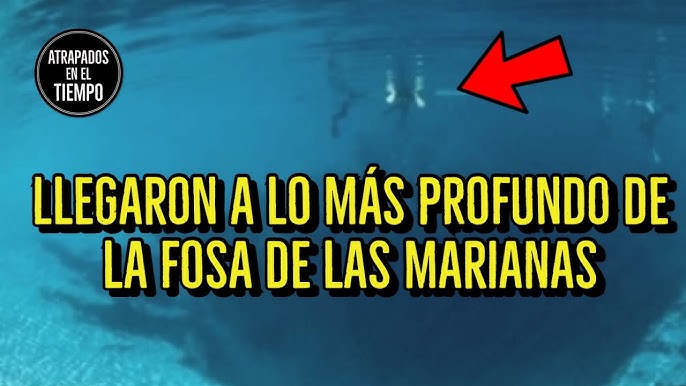 James Cameron dona a la ciencia el submarino con el que bajó a la Fosa de  las Marianas, Ciencia