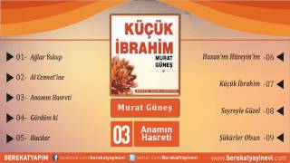 Murat Güneş - Anamın Hasreti Resimi