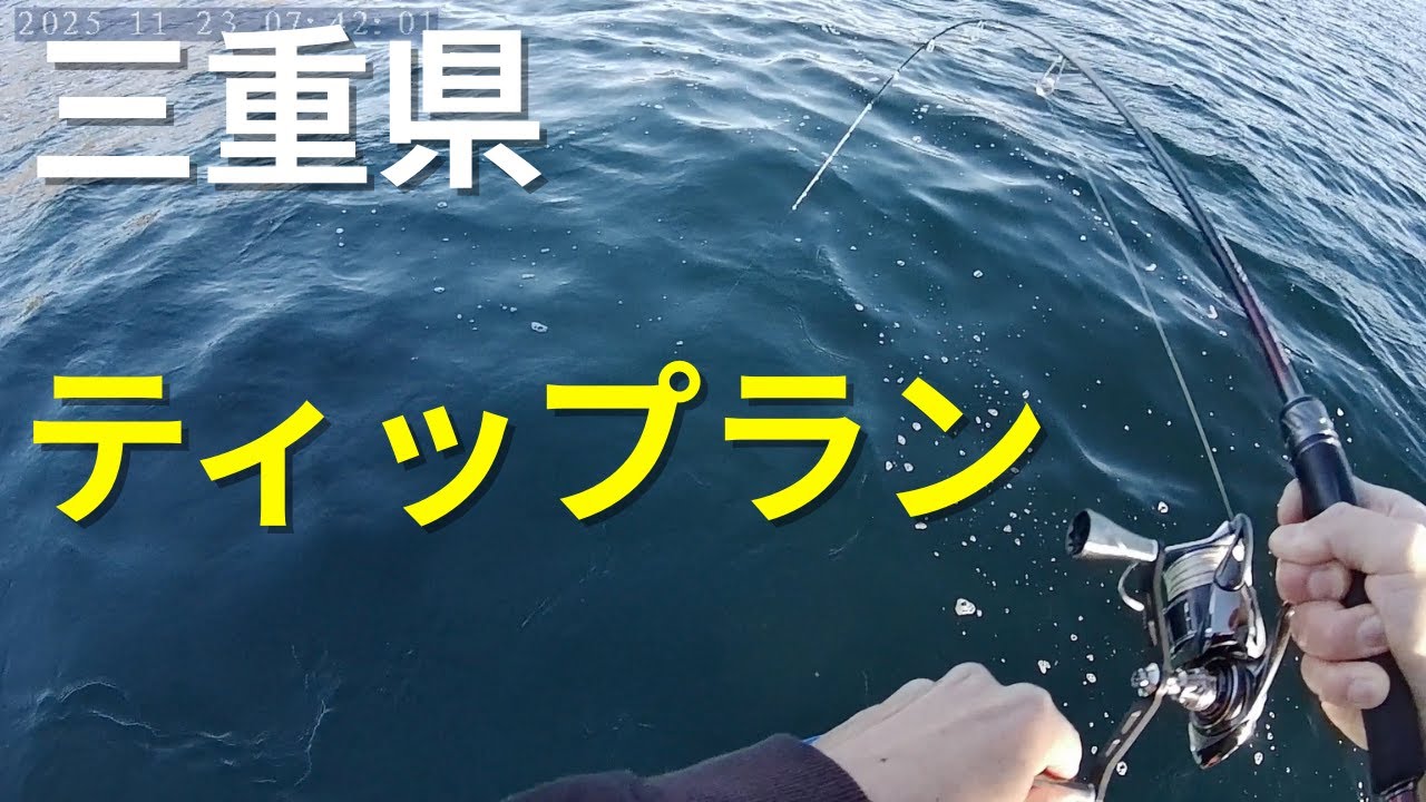 三重県の海でアオリイカを狙う！ティップラン釣行