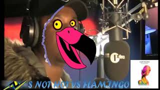 BIG SHAQ (MAN'S NOT HOT) VS OLIVER HELDENS (FLAMINGO) | KeizZer Mashup.