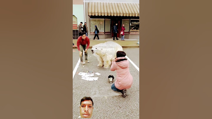 Ice Bear would appreciate some cheese 🧀