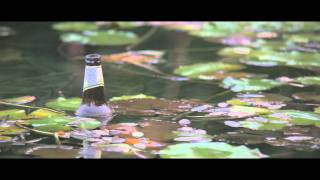 Test CANON 60D - technicolor cinestyle - SIGMA 50/150 f. 2.8 -  Colorist Red Giant MAGIC BULLET