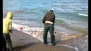 La pêche au filet à Oued Laou.wmv