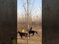 #Jiaxuan Racecourse is killing me with laughter. How could I care who called me I can t ev