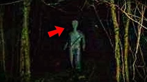 Top 15 Scariest Creature Videos of 2021!