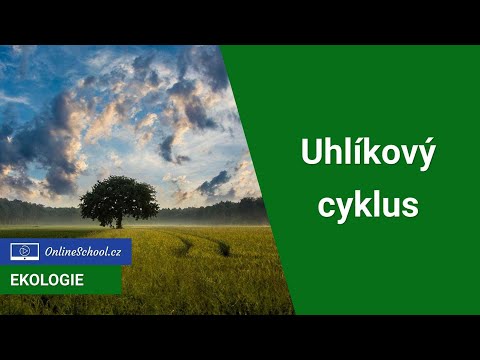 Video: Kde je zásoba kyslíku v koloběhu uhlíku a kyslíku?