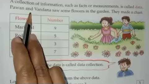 Class-2, Subject-Maths, Chapter-13:Data Handling, Date-09/02/2022
