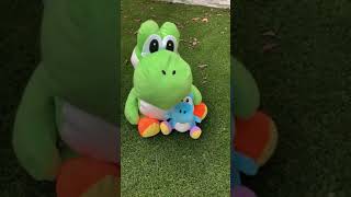Father And Son Yoshis