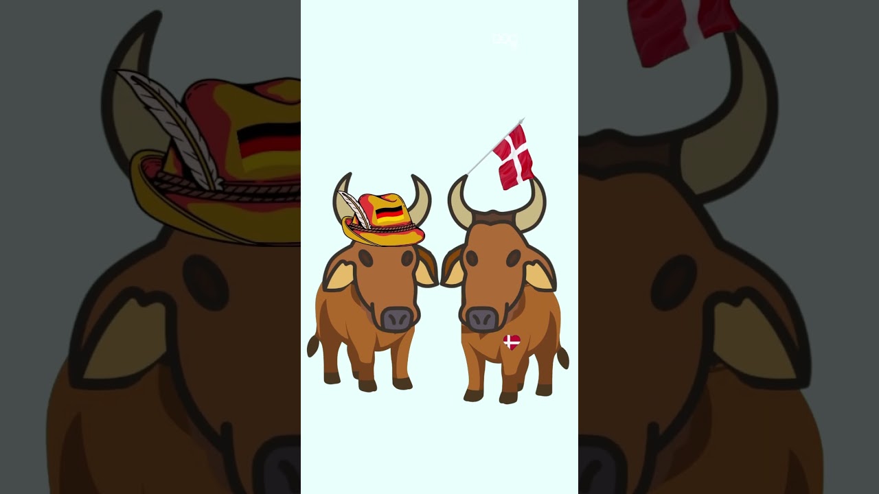 &lsquo;Ossenmarkt&rsquo; Waar komt die naam vandaan?