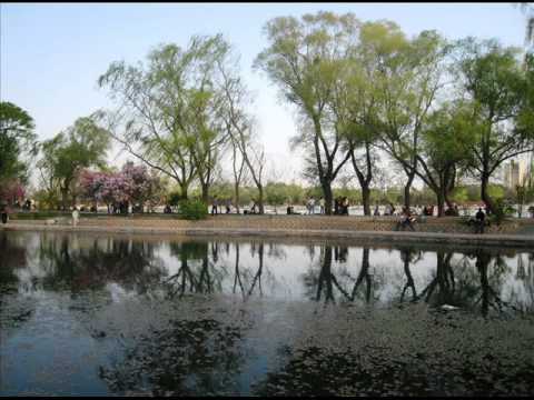 我和我的祖国 10 2011