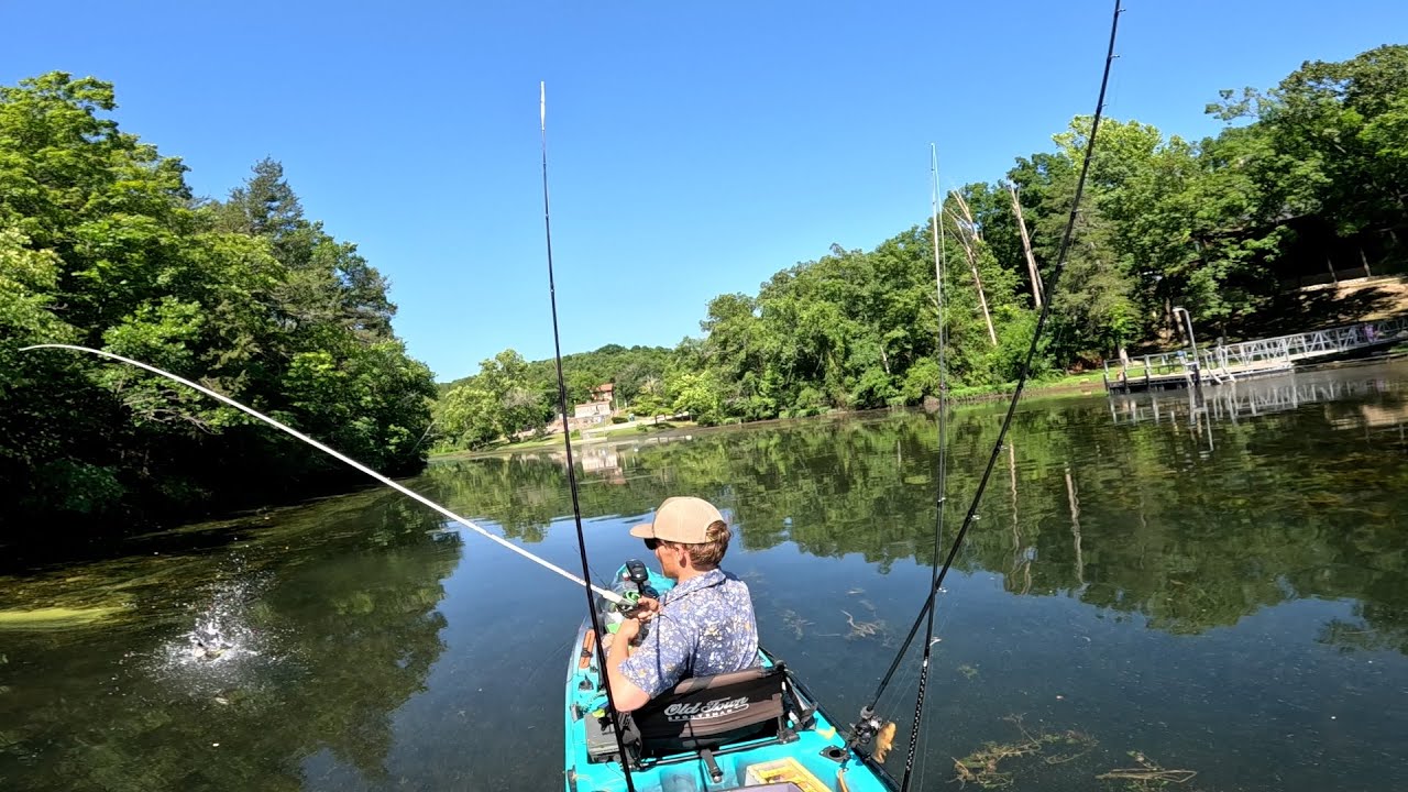 Frog Fishing is TOO EASY! (Lake Taneycomo)
