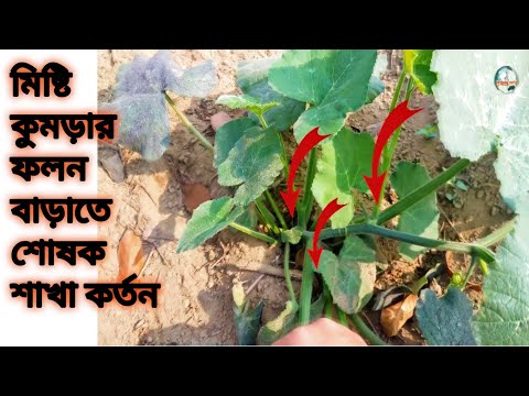 Cum in Vagina ni onlayn tomosha qiling